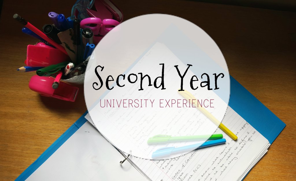 Calling All Freshers: Second Year Experience