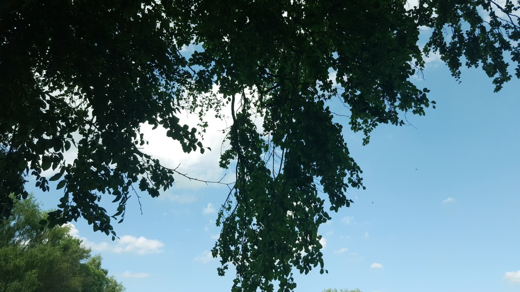 Four Simple Ways To Get Your Shit&nbsp;Together