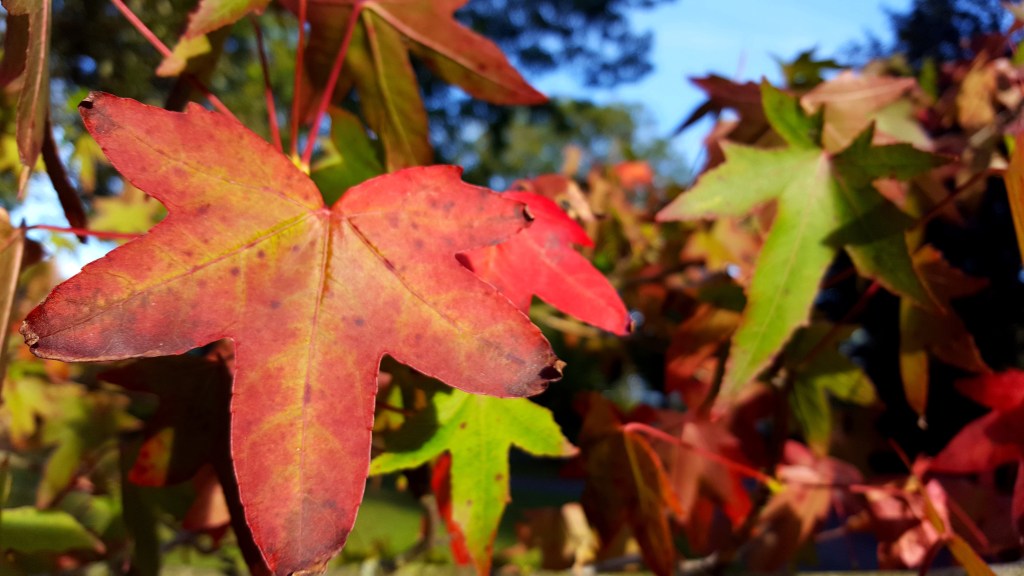 Becoming Unstuck: How To Get Out of A&nbsp;Rut