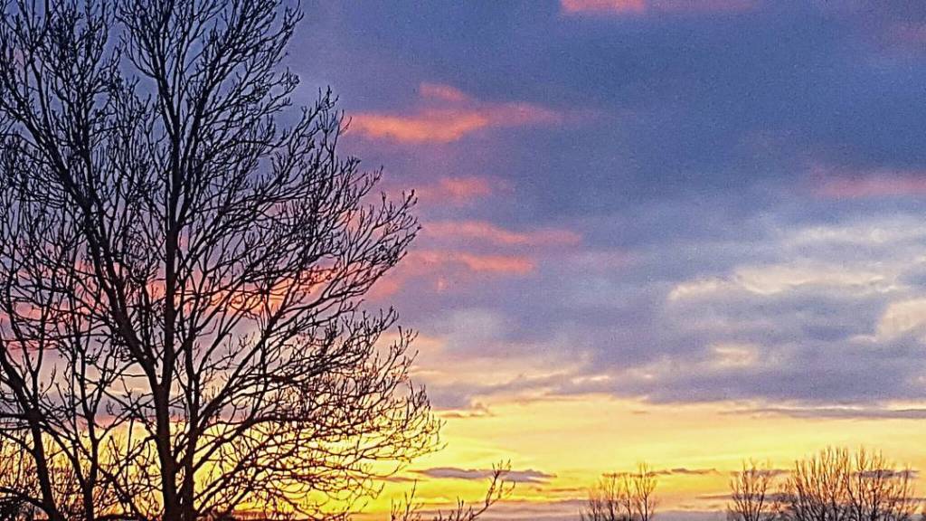 Regaining Control: How To Reach Your&nbsp;Goals