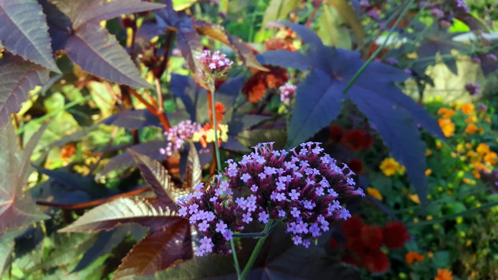 Creating Just For The Hell Of It: Shame, Fear and Self-Care