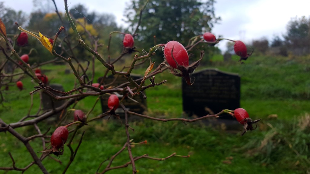 How To Look After Yourself During&nbsp;Autumn/Winter