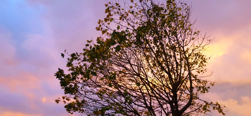 So You Haven’t Had The Best Start | New Year Pep&nbsp;Talk