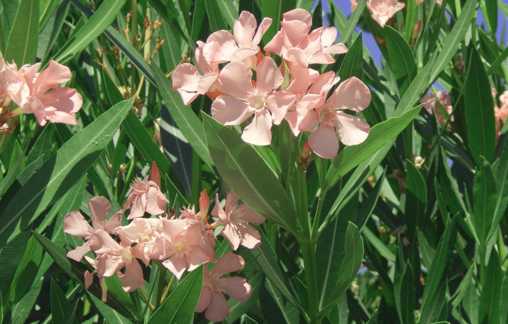 The Vital Self – Care You Might&nbsp;Forget