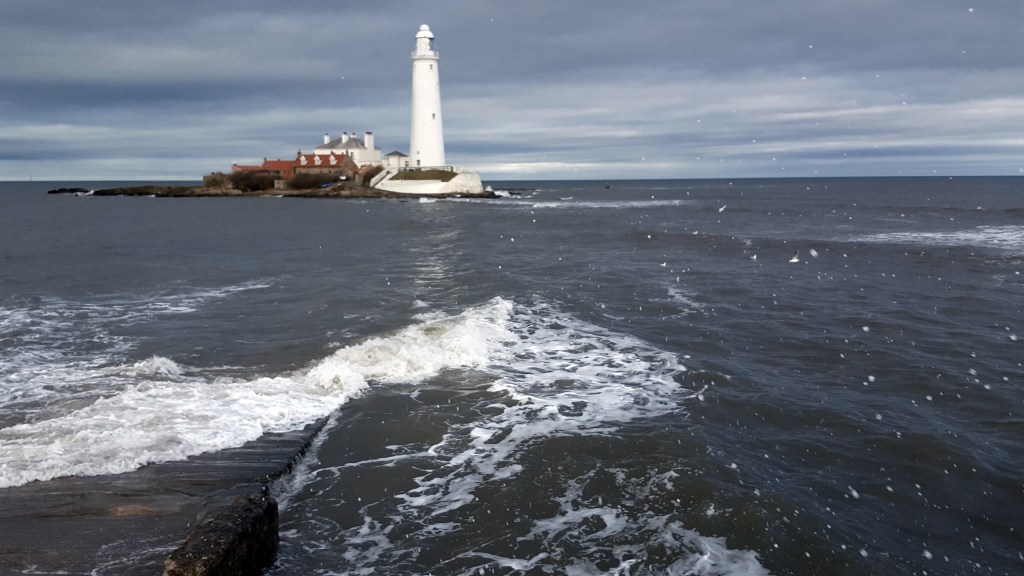 Sunflowers & Storms – May, Myself And I #11 + #12 (Catch Up)