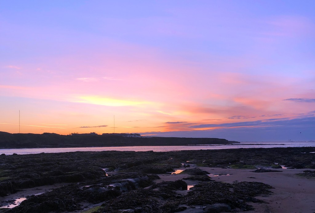 Conscience – May, Myself And I&nbsp;#16