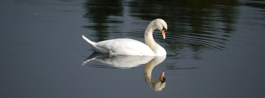 Thank God For My&nbsp;Ugliness