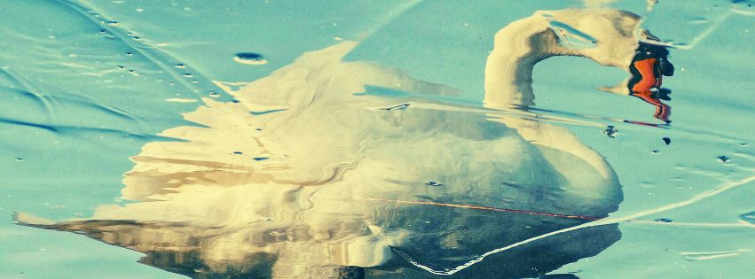 You’re Supposed To Be Ugly And Awkward At&nbsp;14